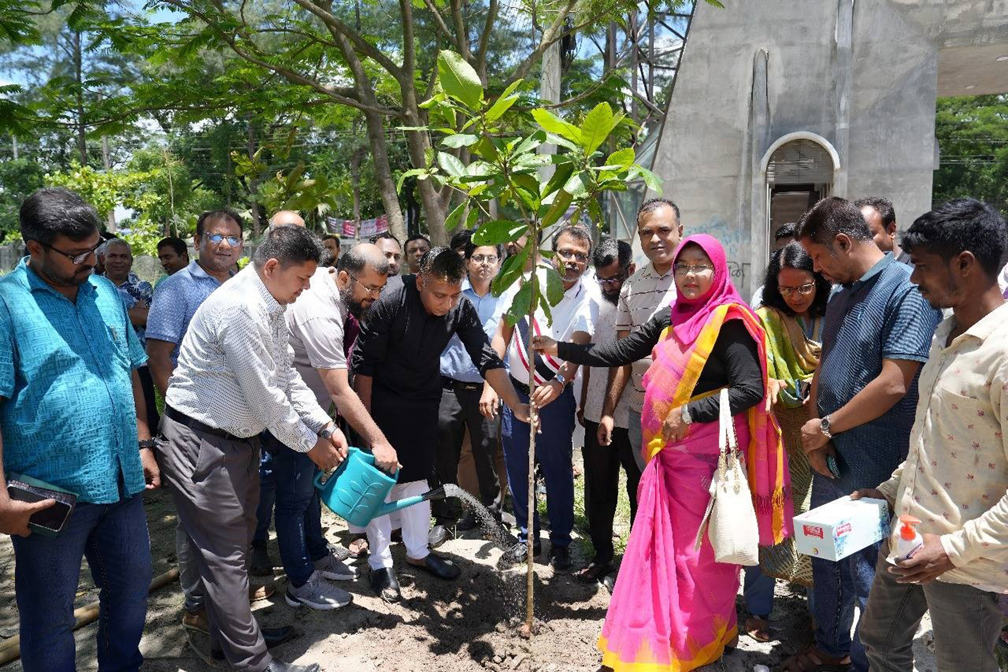 পাবিপ্রবিতে মাসব্যাপী বৃক্ষরোপণ কর্মসূচি উদ্বোধন